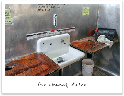 Fish cleaning station
